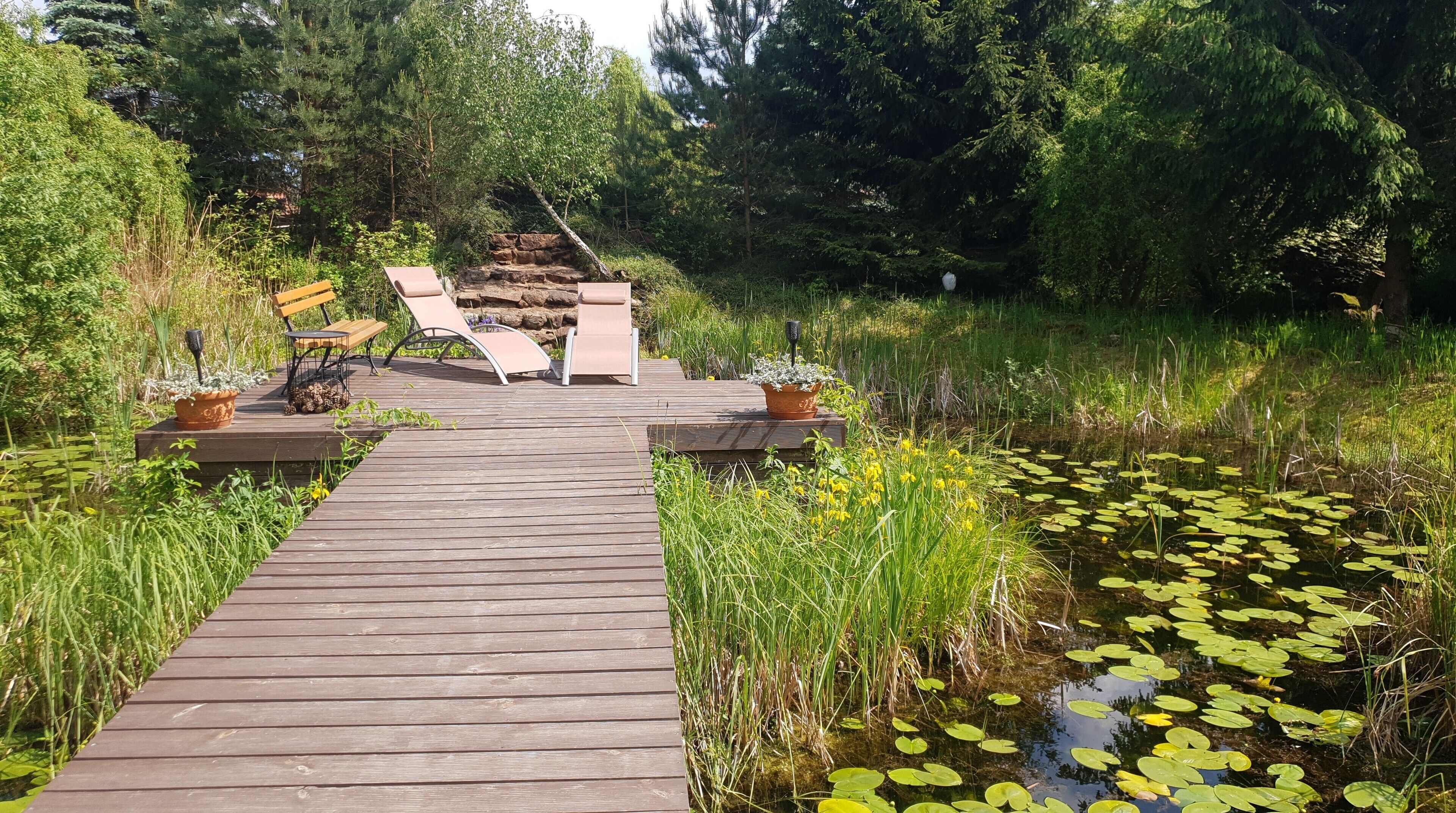 A wooden deck leading to a seating area with chairs and a table, surrounded by lush greenery and a pond with lily pads.