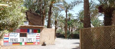 A small outdoor area with palm trees, a wooden structure with a sign, and a fence.