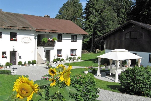 Ferienwohnung 2 mit Südterrasse-FeWo Hopfinger