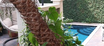 Happy Villa Avec Piscine à Guayaquil