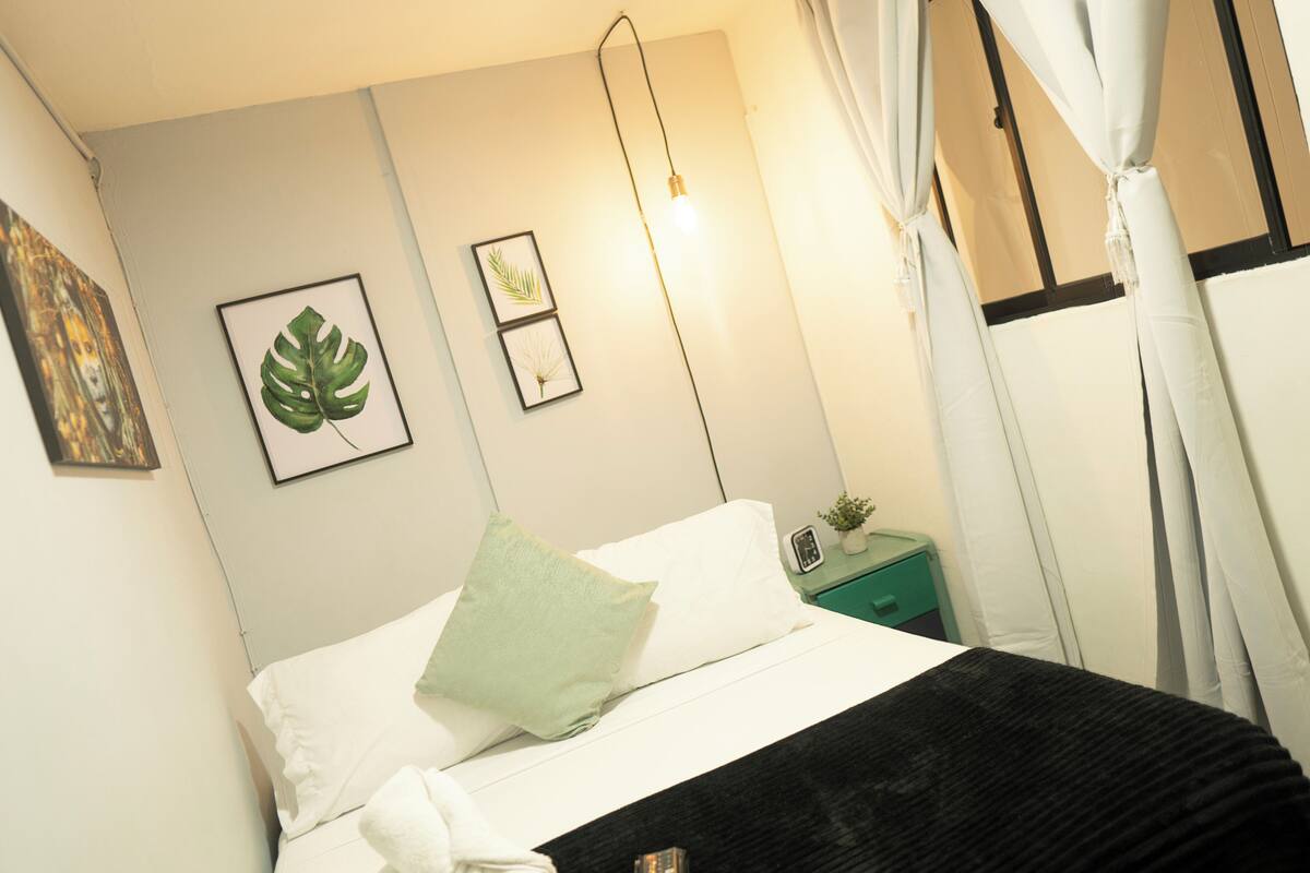 A neatly made bed with white and green pillows, a black throw blanket, and a bedside table with a small plant and a lamp.
