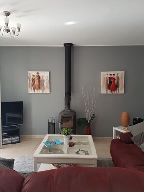 Smart TV, chimenea, reproductor de DVD y libros