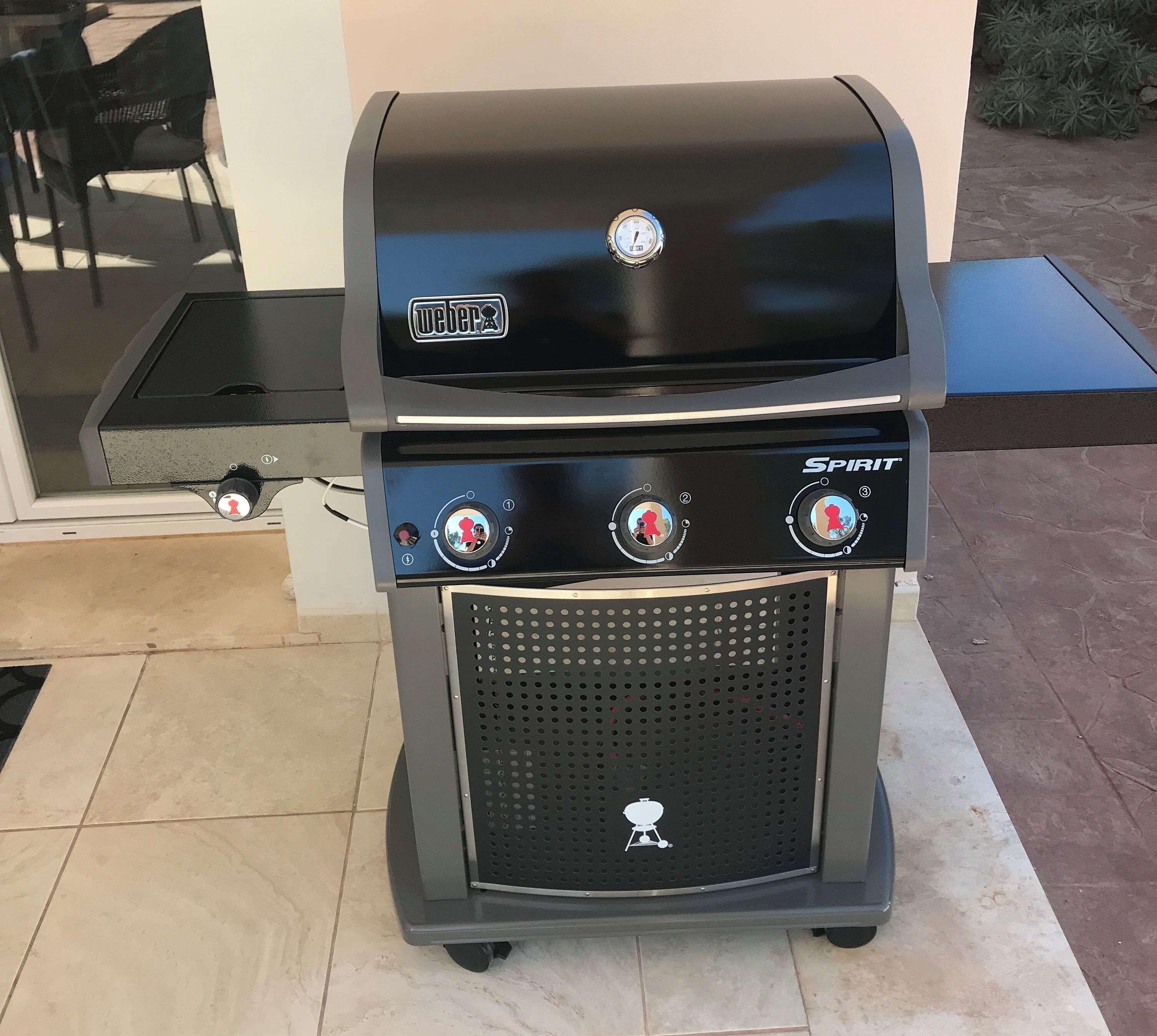 Weber Gasgrill
