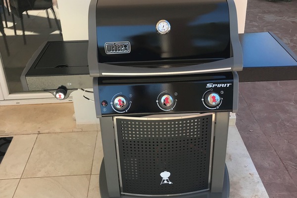 Weber Gasgrill