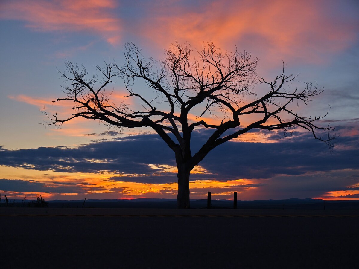 Foto de perfil del anfitrión