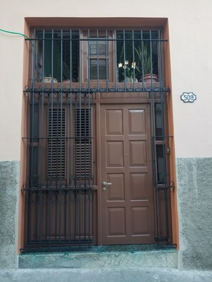 A brown door with a window above it, a metal gate, and a house number 509.