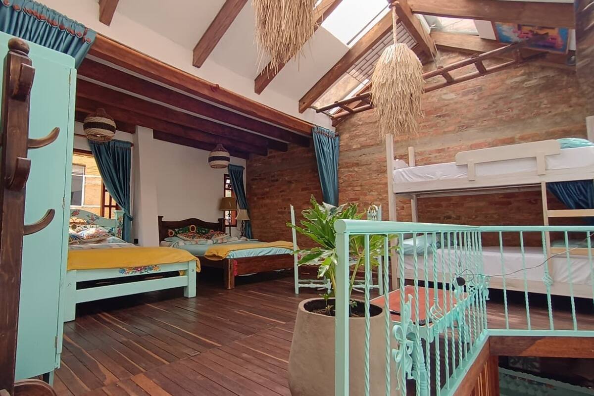 Une pièce rustique avec un plancher en bois, un lit en mezzanine, un lit superposé et une grande plante en pot.