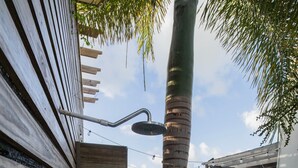 A wooden deck with a built-in shower, a palm tree, and a view of the sea.