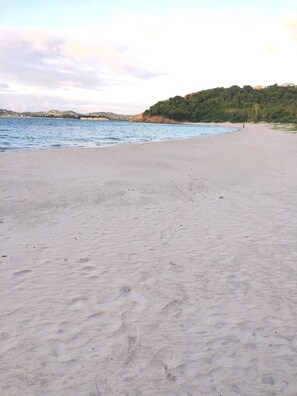 Plage à proximité, chaises longues, parasols, serviettes de plage