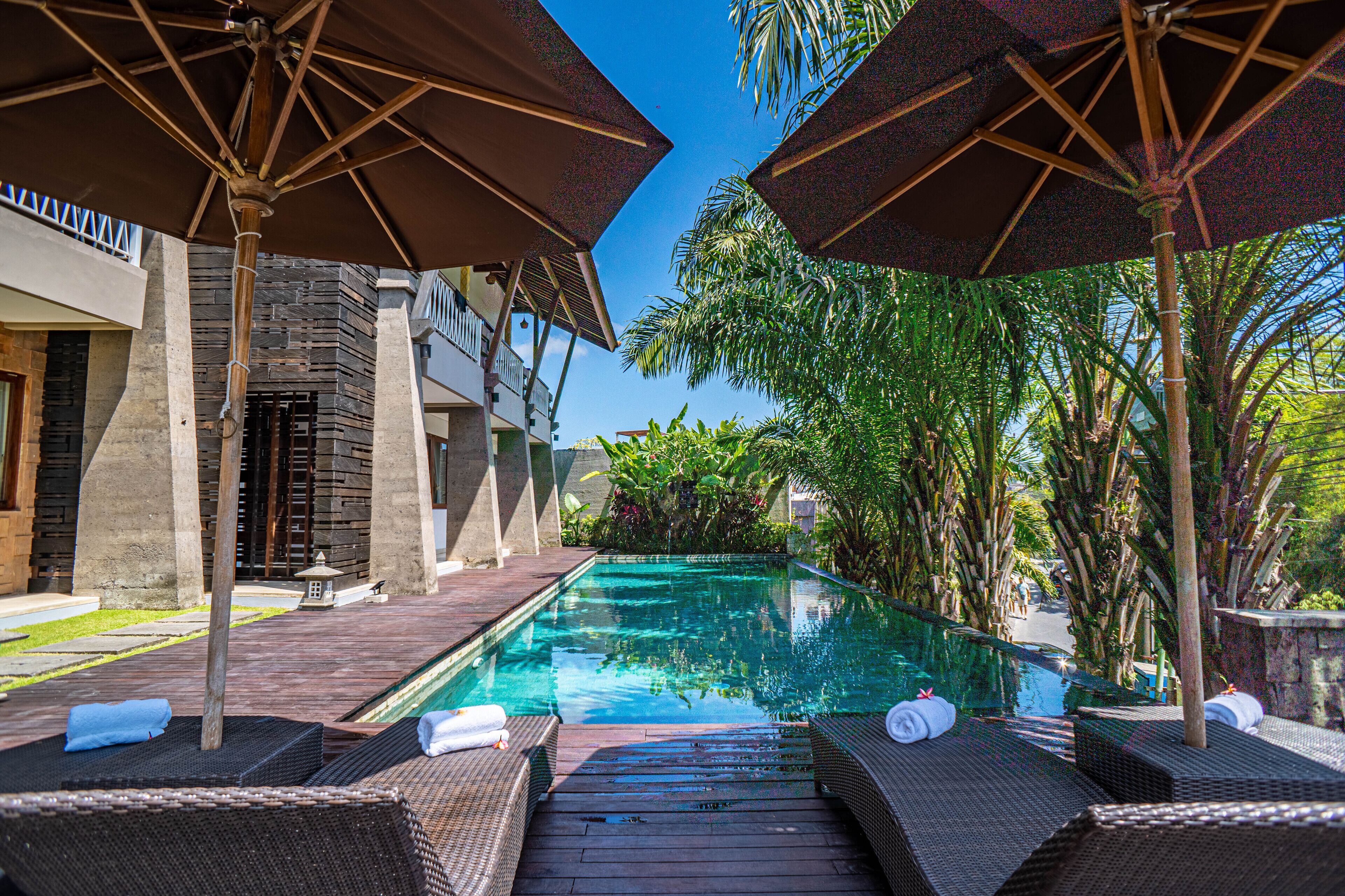 Outdoor pool, pool umbrellas, sun loungers