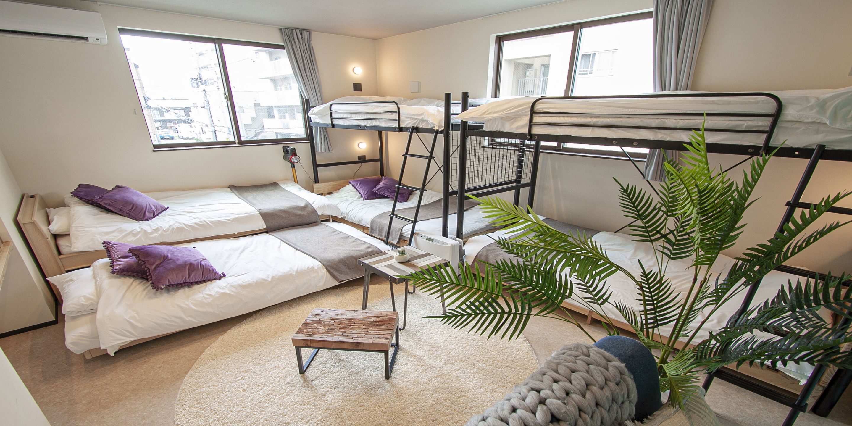 Een slaapzaal met stapelbedden, een klein houten tafeltje en een grote potplant.