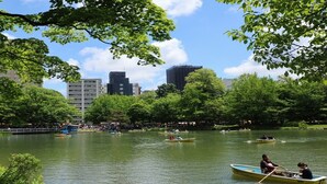 A park with a lake, boats, and buildings in the background.
