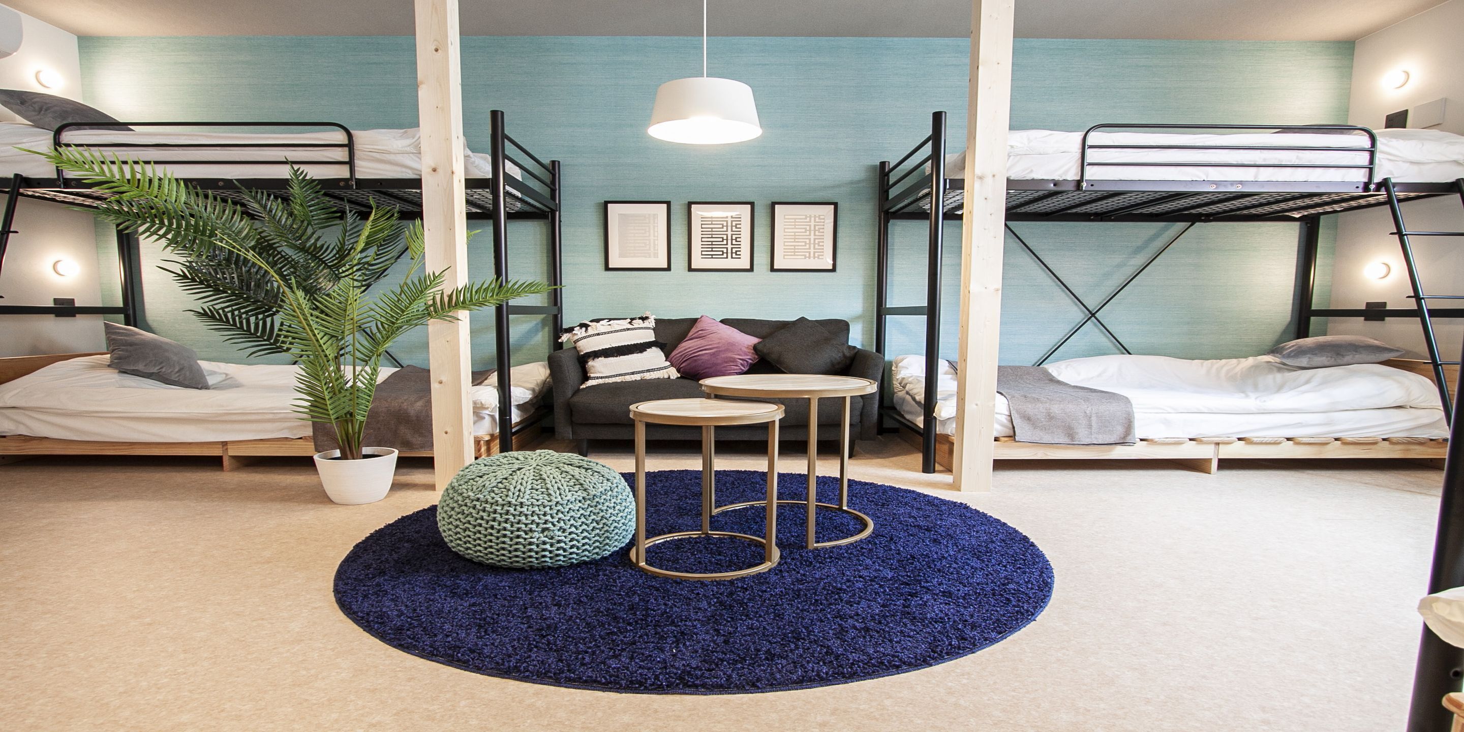 A dormitory room with bunk beds, a round coffee table, a potted plant, and a blue rug.