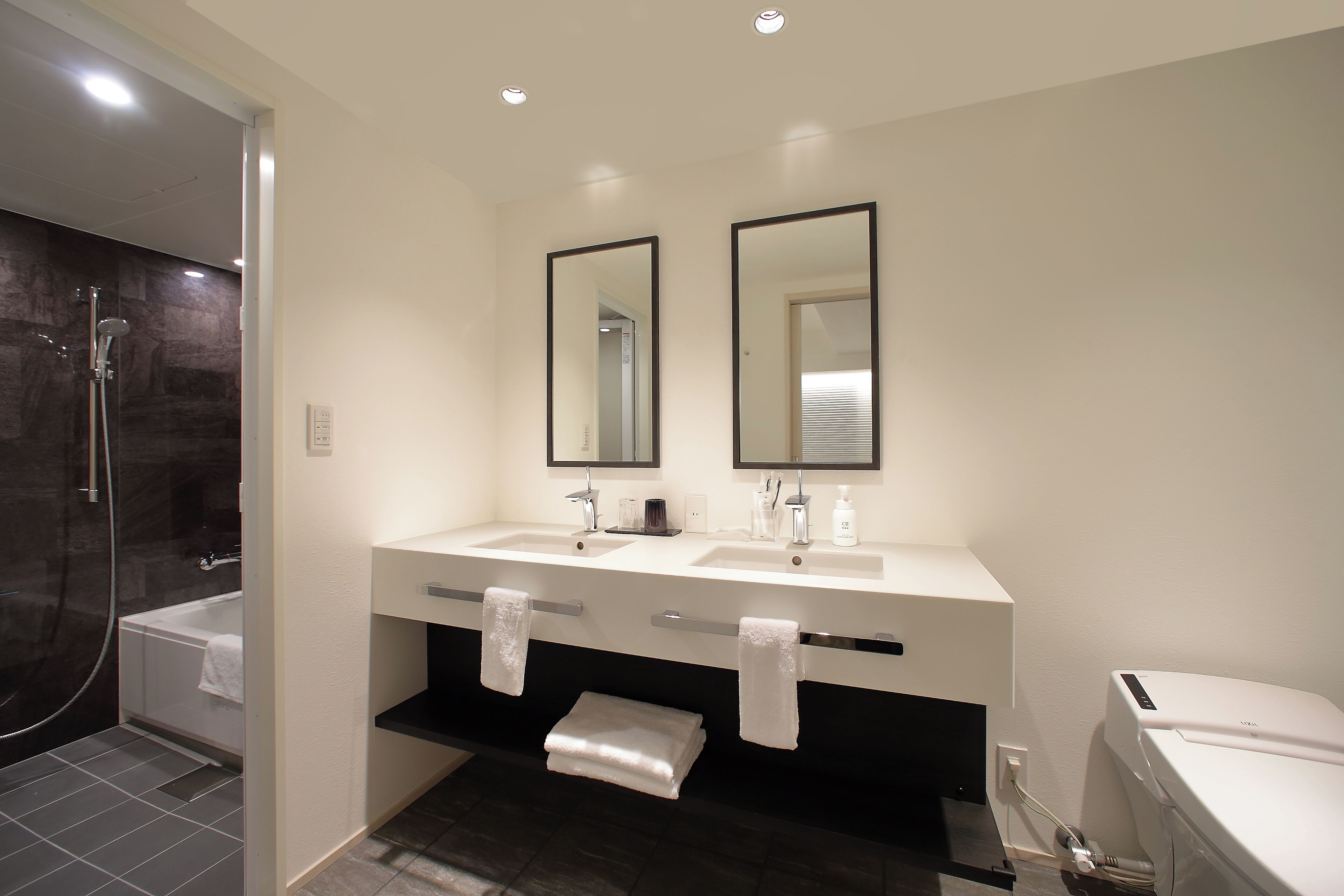 free toiletries, hair dryer, slippers, bidet