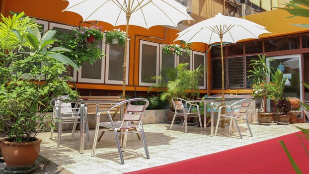 An outdoor seating area with metal chairs and white umbrellas, surrounded by potted plants and a red carpet.