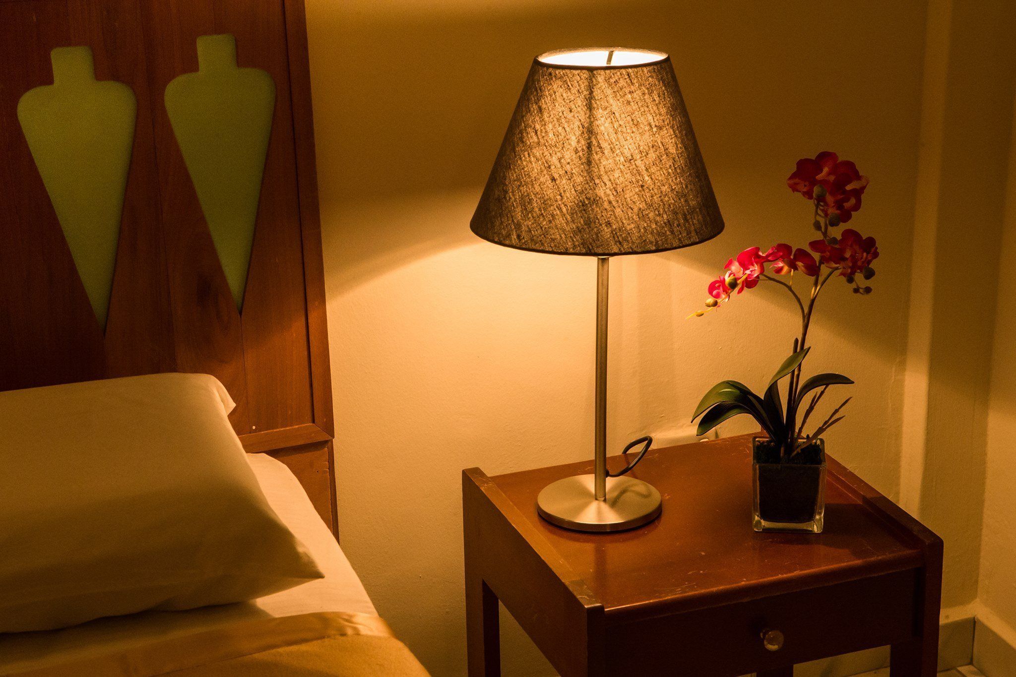 A bed with a white pillow, a bedside table with a lamp, and a small potted plant.