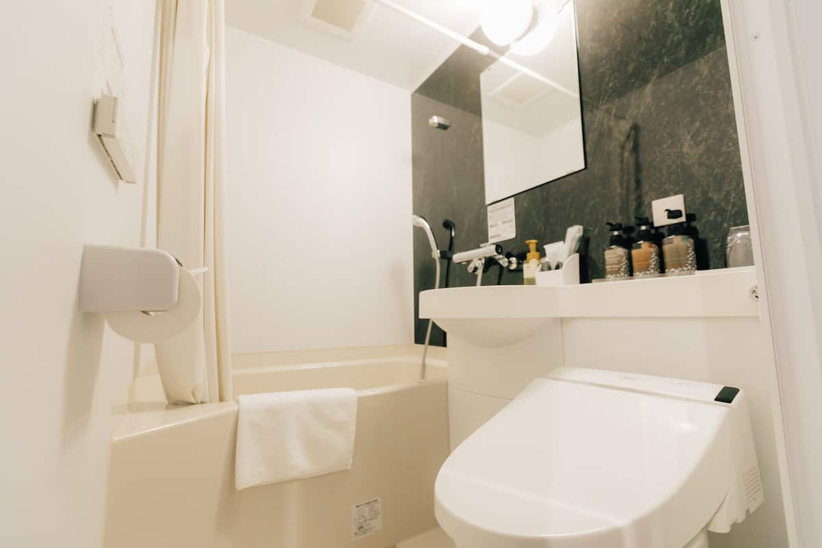 combined shower/bathtub, free toiletries, hair dryer, slippers