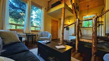 Smart TV, fireplace, DVD player, books