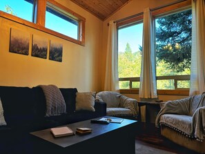 Smart-TV, peis, DVD-spiller og bøker