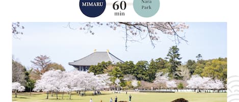 Ein Park mit Kirschblüten und einem traditionellen Gebäude.