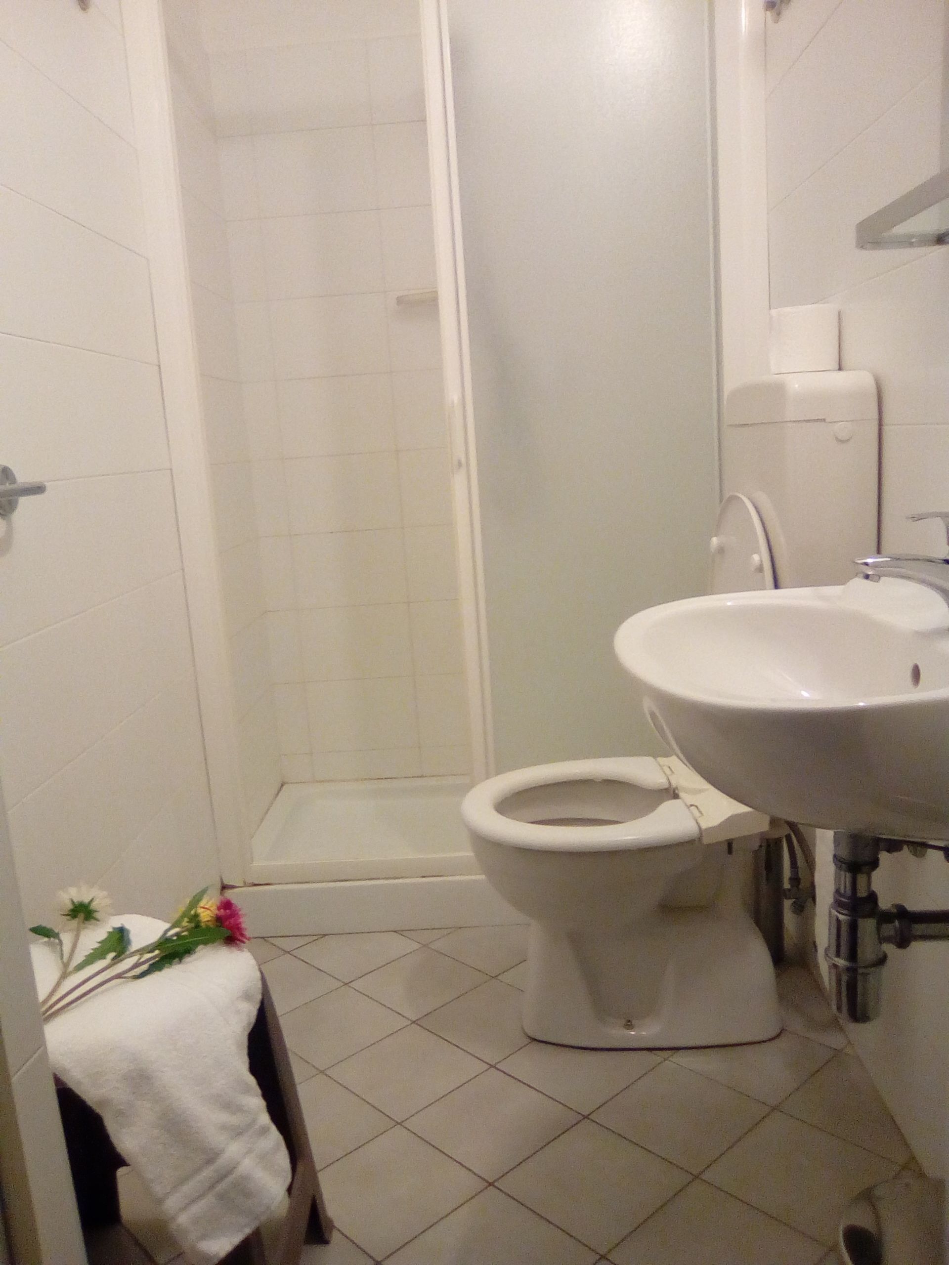 shower, rainfall showerhead, free toiletries, hair dryer