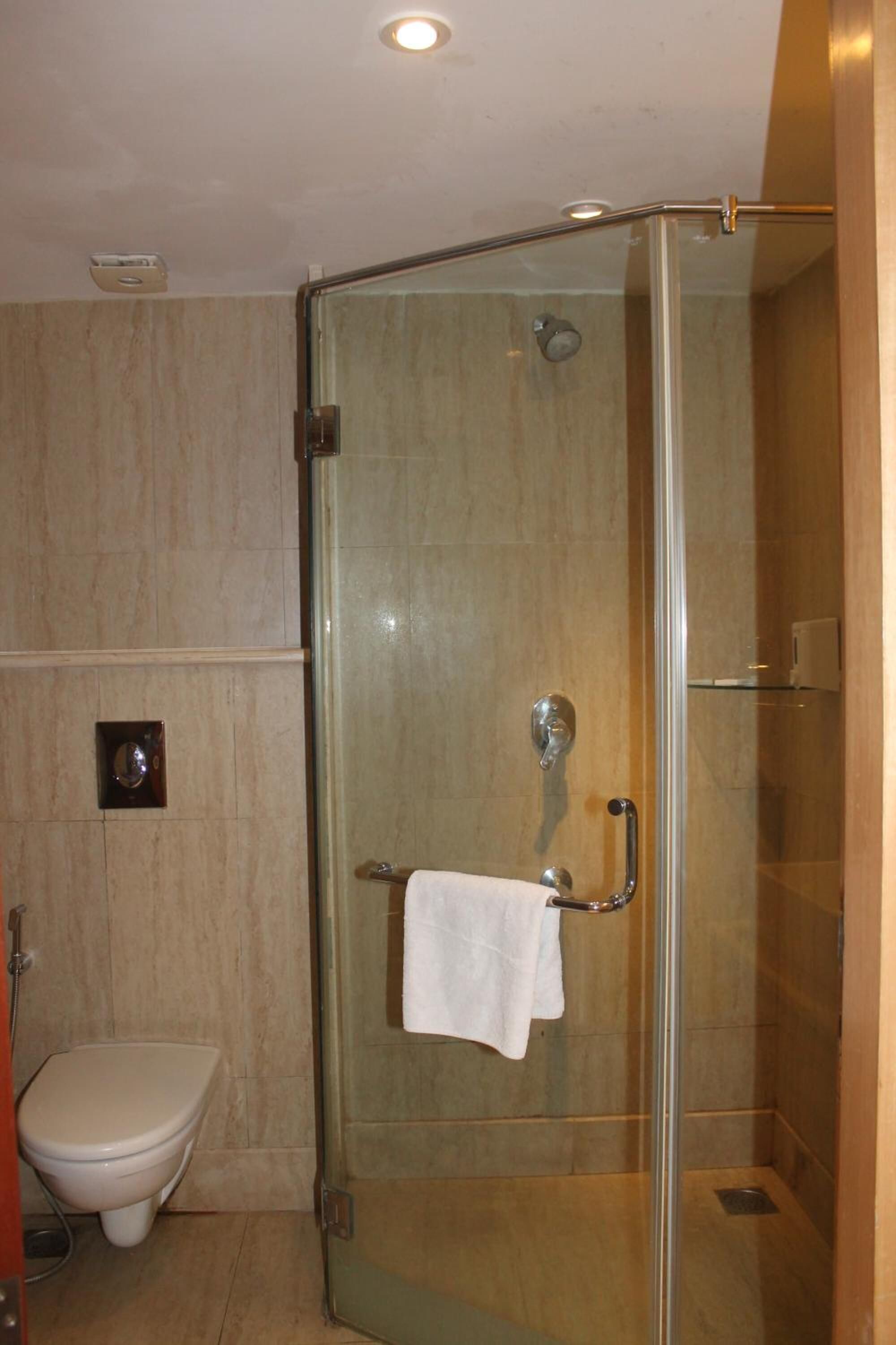 Eine begehbare, gläserne Dusche mit einem weißen Handtuch über dem Türgriff, eine Toilette und eine Deckenleuchte.