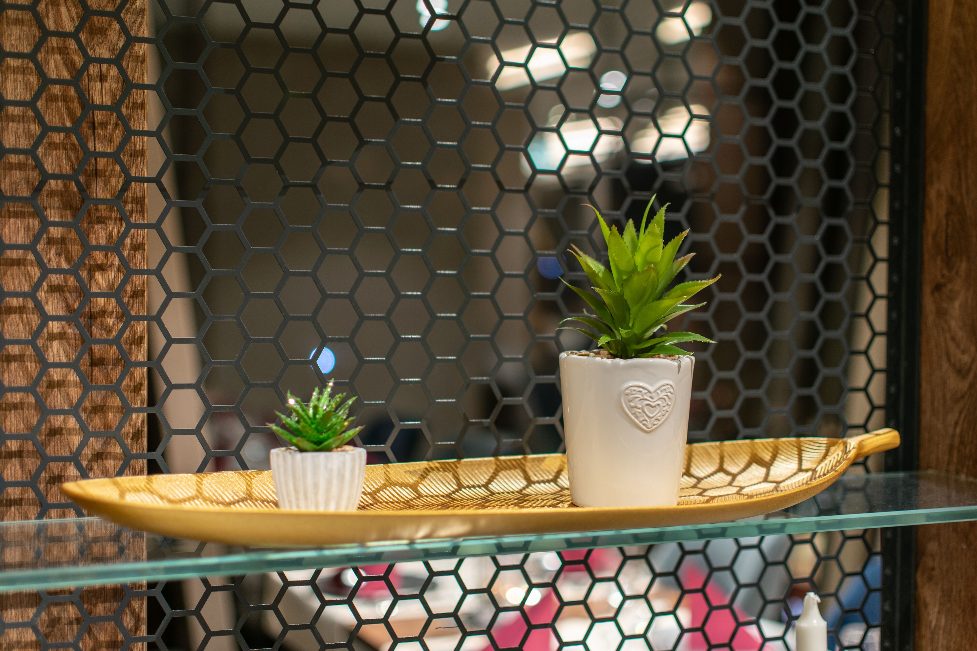 A glass shelf with two potted plants on a woven tray.