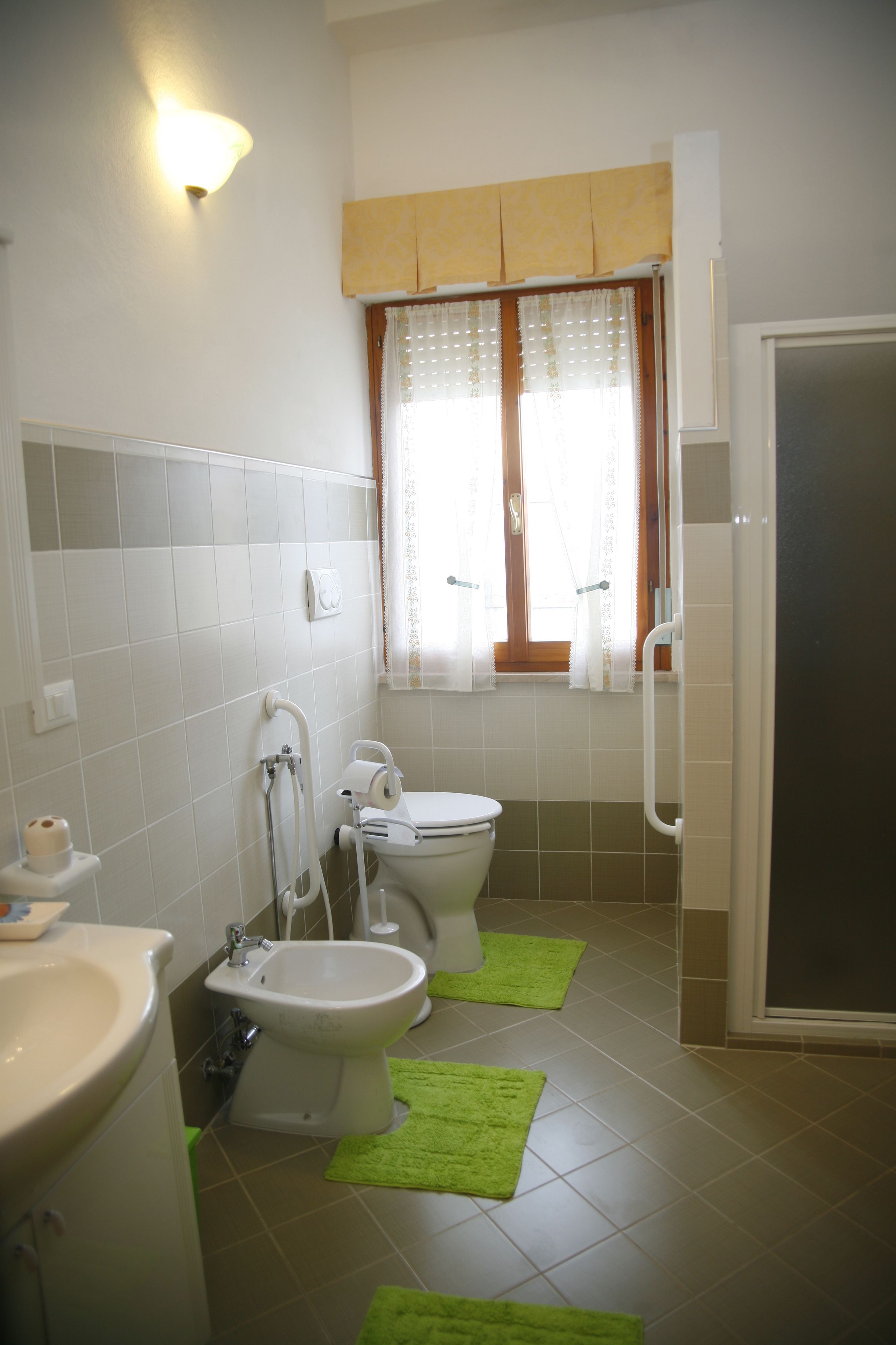 A bathroom with a toilet, bidet, and sink, with green rugs on the floor and a window with curtains.