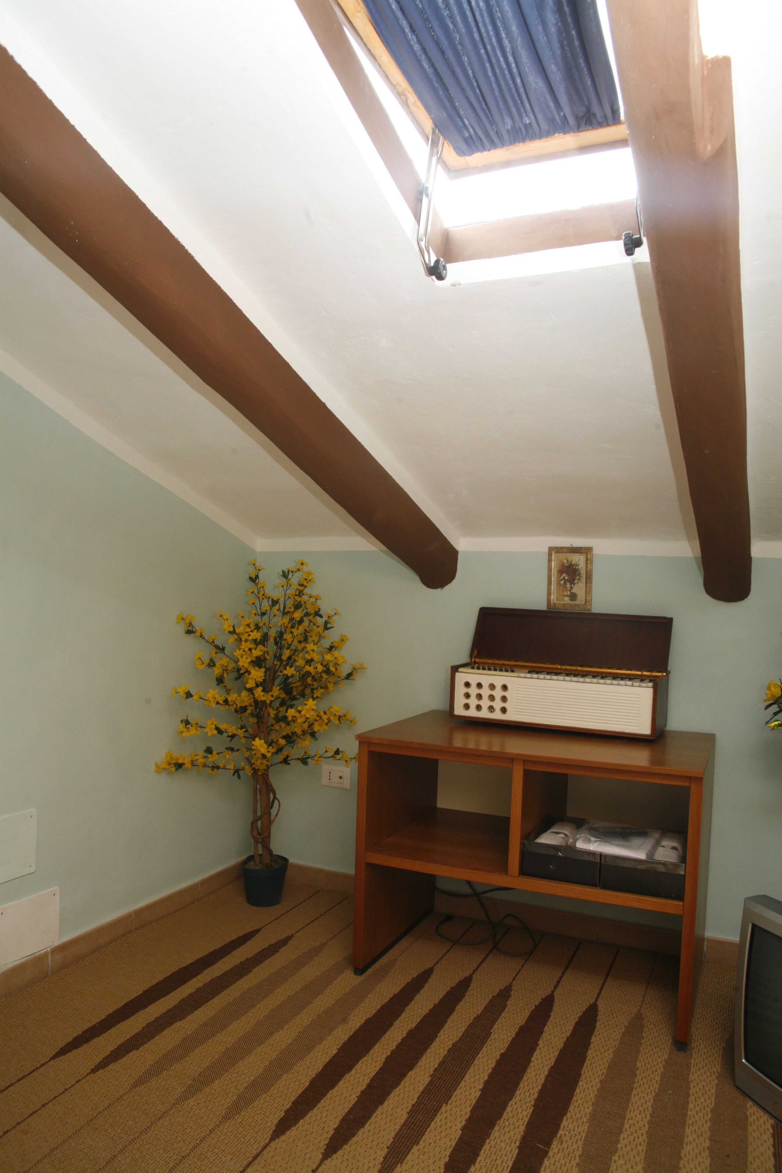 Una stanza con soffitto spiovente, uno scaffale in legno con una radio, una pianta in vaso e un televisore.