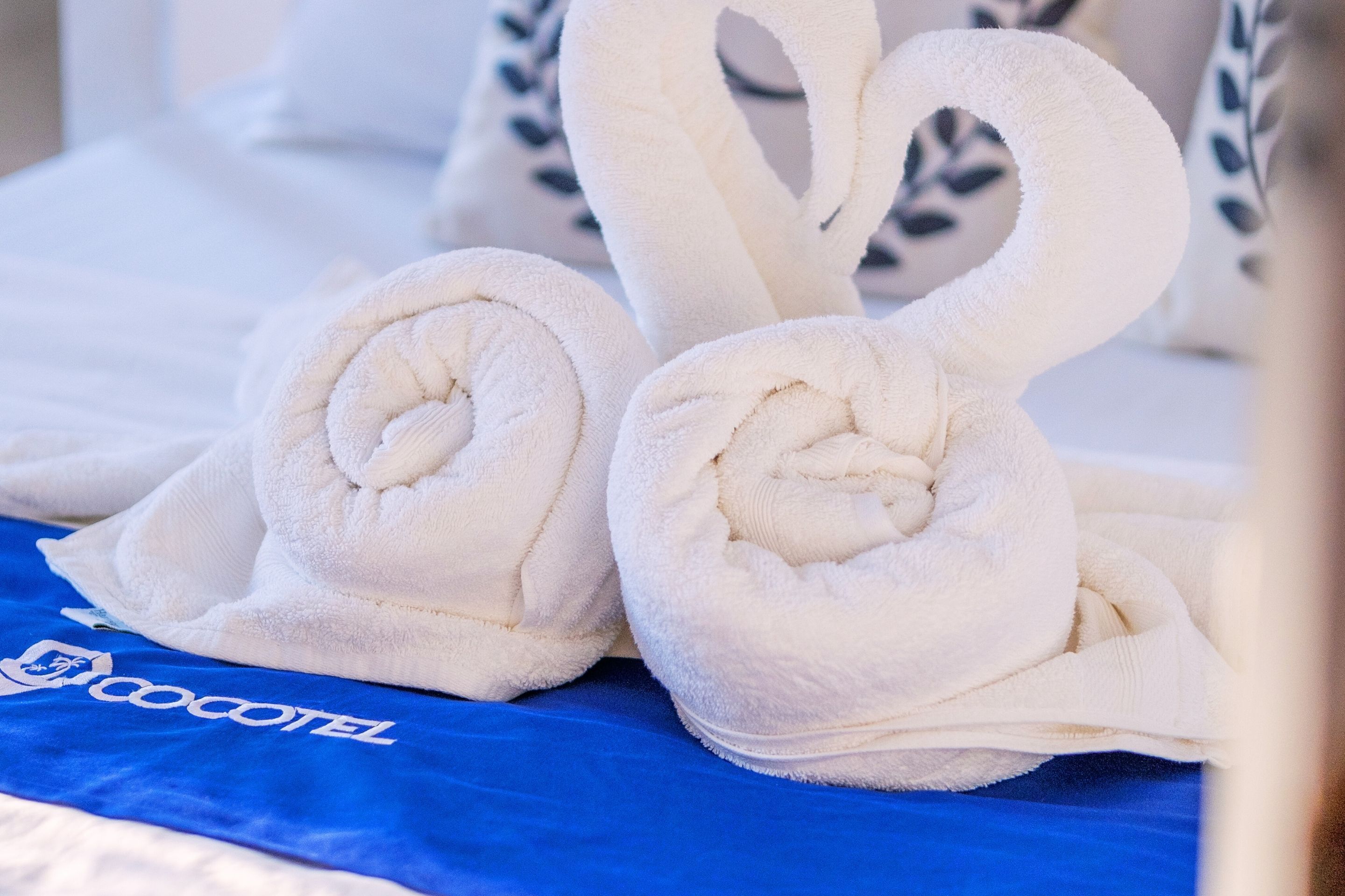 A bed with two rolled white towels and a blue towel with the logo "Cocotel".