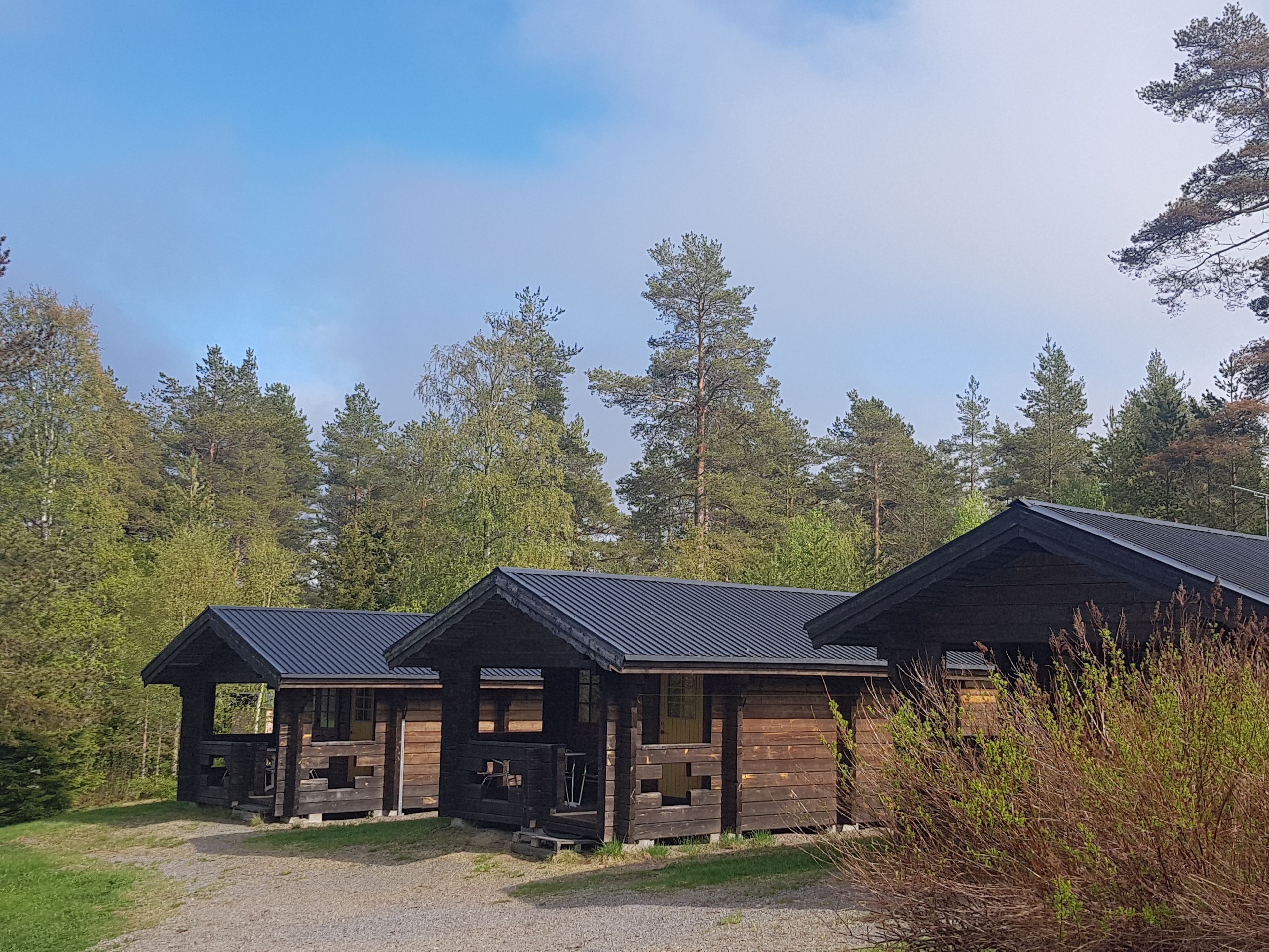 Three wooden cabins with metal roofs, set in a forested area with a clear sky.