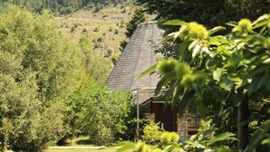 Una casa con techo inclinado rodeada de abundante vegetación y un césped.