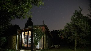 Una cabaña acogedora con puerta de cristal, rodeada de árboles y un cielo estrellado.