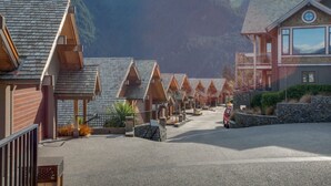 Unclassified image, 4 of 28, button - Ti Kouka (Queenstown)