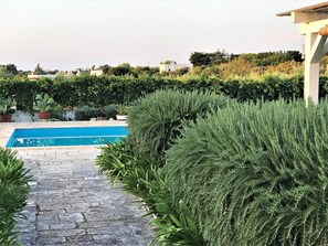 Ein Swimmingpool mit einem steinernen Pfad, umgeben von ordentlich geschnittenen Hecken und Kübelpflanzen.