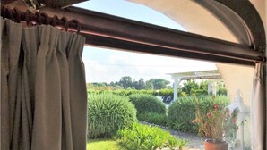 Une vue sur un jardin depuis une fenêtre, avec une pergola, des plantes en pot et une statue.