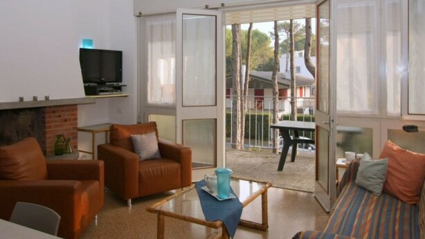 Una sala de estar con chimenea, televisión y sofá.