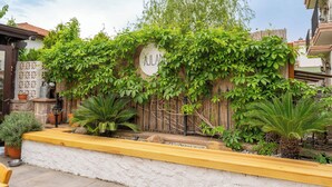 Un jardín exuberante con un cartel que dice "AJLAN", rodeado de diversas plantas y una valla de madera.