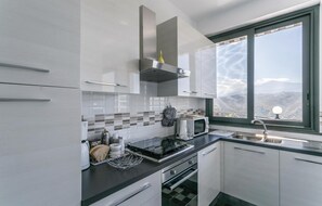 Fridge, stovetop, dishwasher