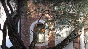 Property grounds - Levantin Inn 1,3 Room N4 Sea Side (Sveti Stefan)