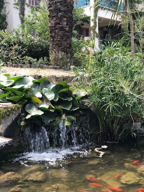 Jardin