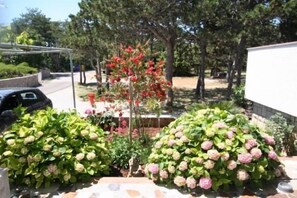 Property grounds - Apartments Villa Marica (60247-A1) - Silo - island Krk (Silo - island Krk)