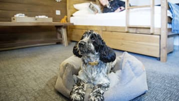 Un perro en una cama para mascotas en una habitación con una litera y un cabecero de madera.
