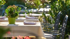 A table set outdoors with a green plant and folded napkins, surrounded by greenery.