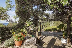 Apartment, 1 Double Bed | Property grounds