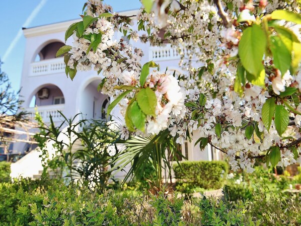 Apartment, 1 Doppelbett | Unterkunftsgelände