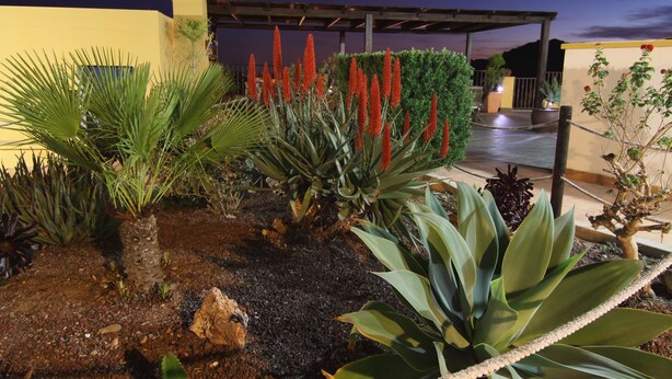A landscaped garden with various plants and a pergola structure. - Los Palmitos Hospedería Rural (Nijar)