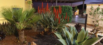 Los Palmitos Hospedería Rural