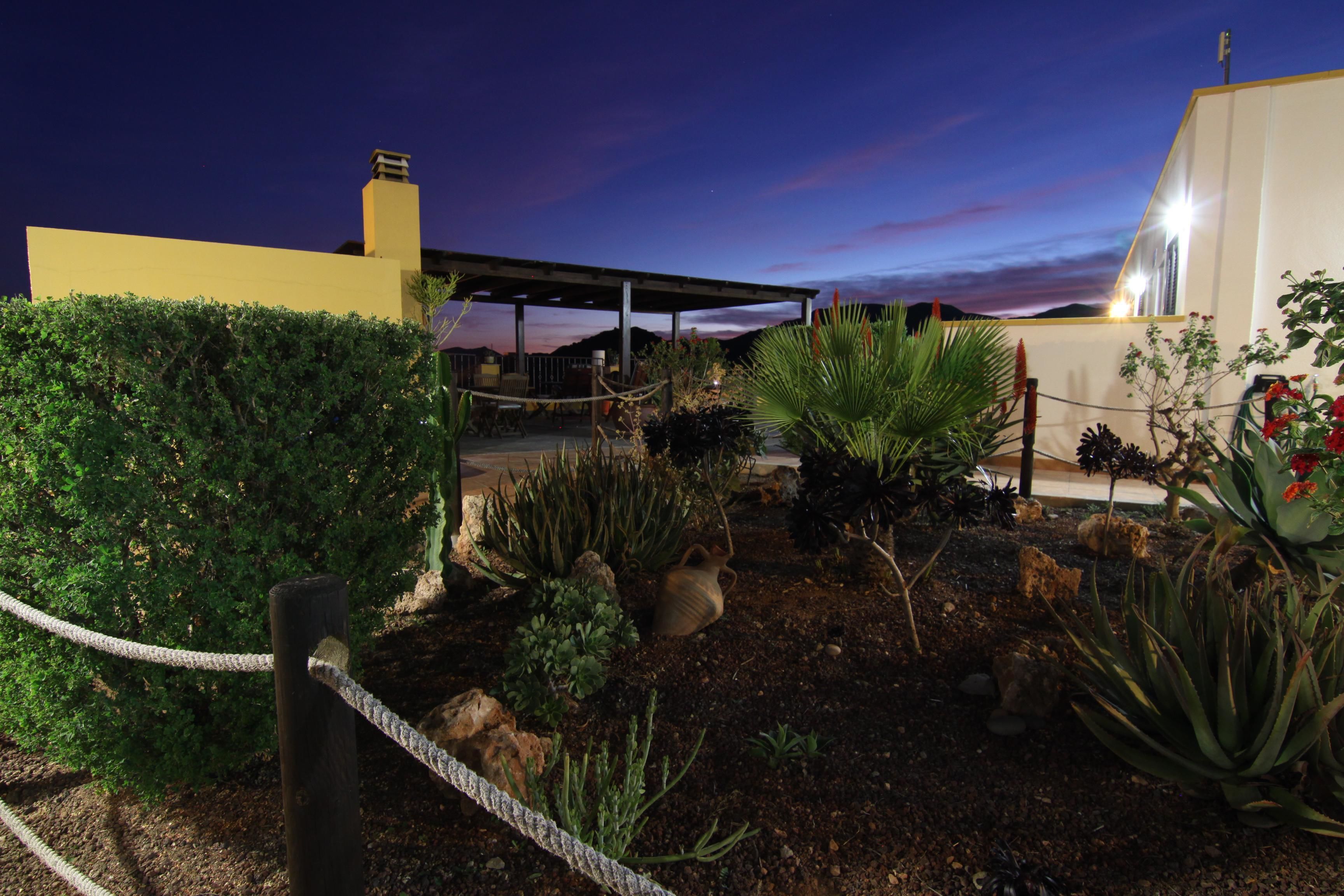 A landscaped garden with various plants and a rope barrier.