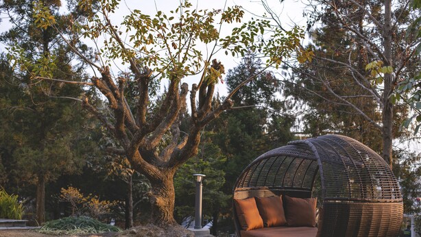 A wicker outdoor seating area with cushions, a large tree, and a lamp post in a landscaped garden. - Meraki Wellness Retreat (Burhanilkantha)